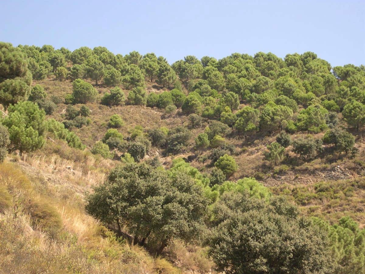 Terreno Non Edificato in vendita in Sedella - 72.000 € (Rif: 8534917)