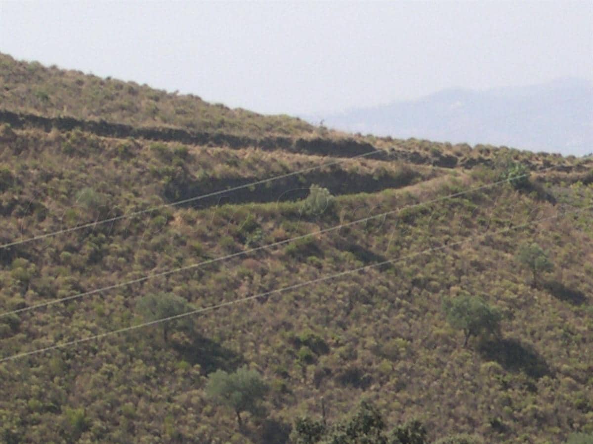 Undeveloped Land for sale in Sedella - € 69,000 (Ref: 8534918)