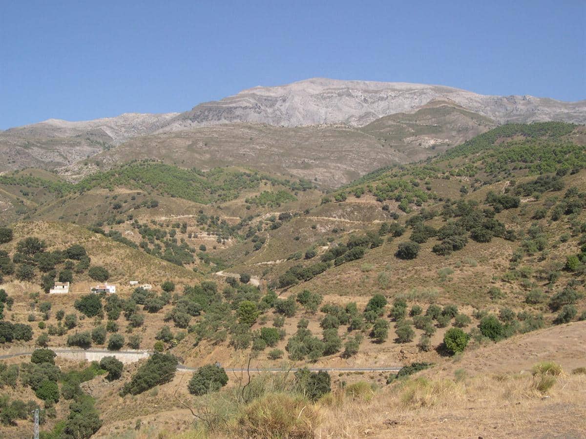 Undeveloped Land for sale in Sedella - € 69,000 (Ref: 8534918)