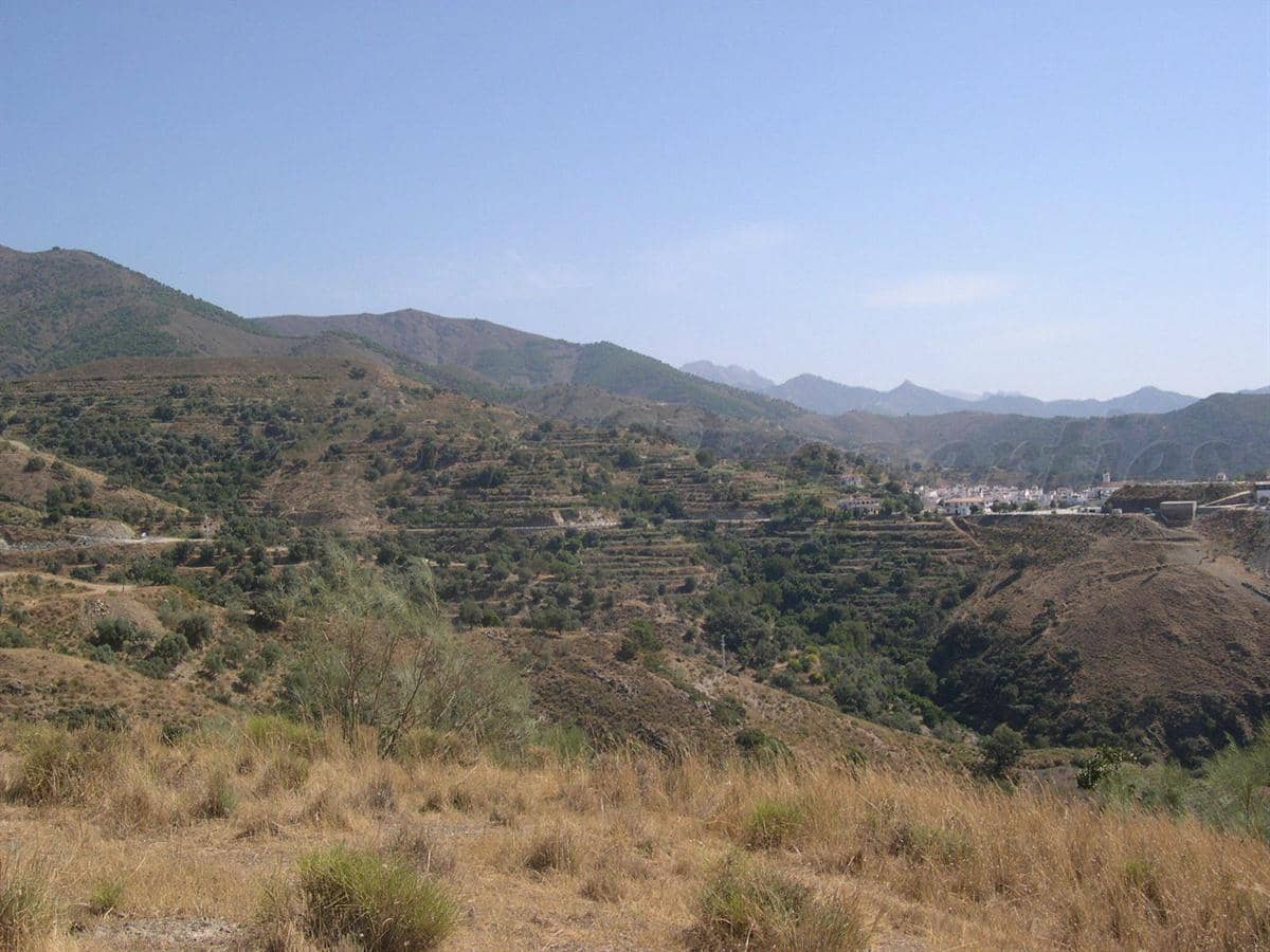 Undeveloped Land for sale in Sedella - € 69,000 (Ref: 8534918)