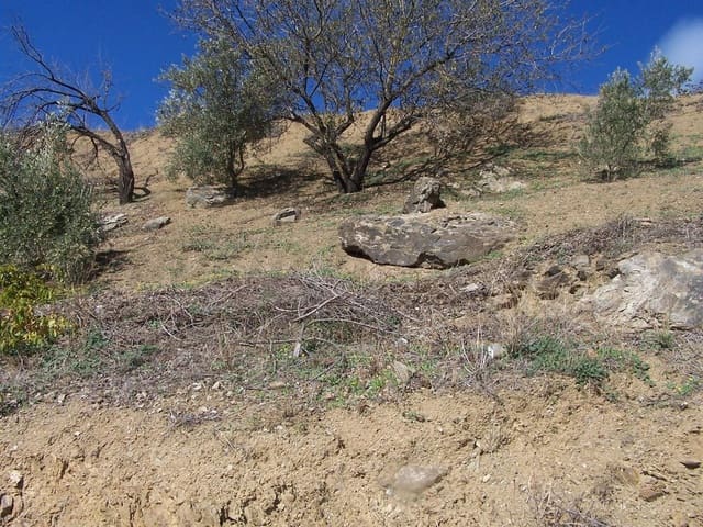 Grond te koop in Archez - € 59.000 (Ref: 8534922)