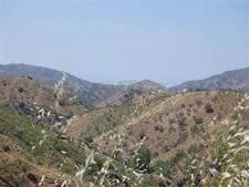 Grunde uden byggetilladelser til salg i Sedella - € 48.000 (Ref: 8534930)