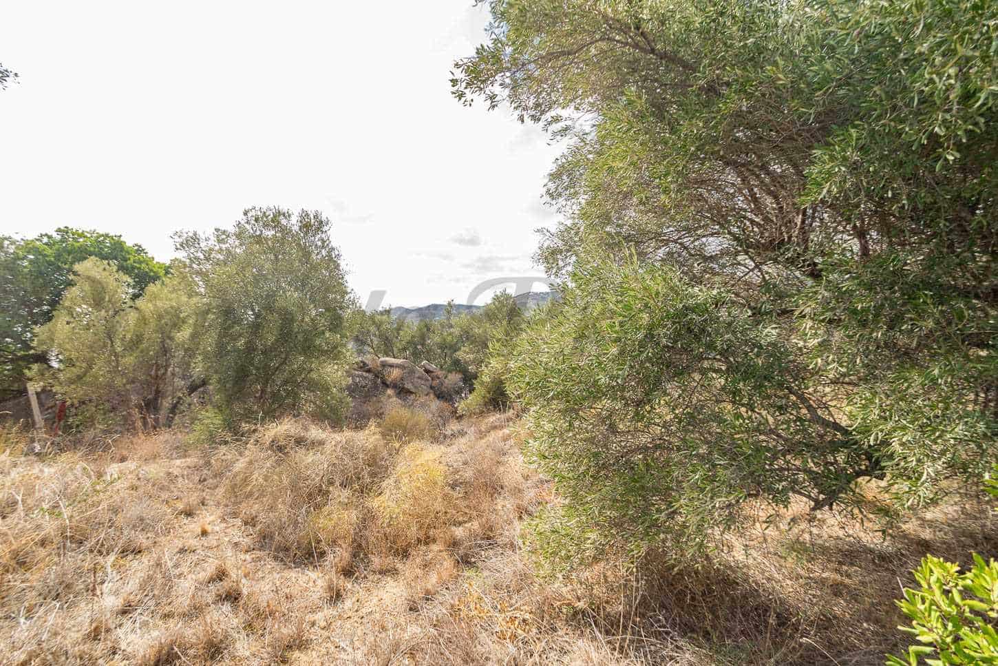 Grond te koop in Torrox - € 62.500 (Ref: 8571260)