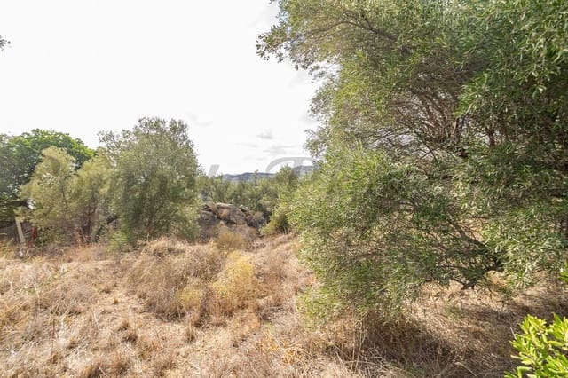 Ubebygd land til salgs i Torrox - € 62 500 (Ref: 8571260)