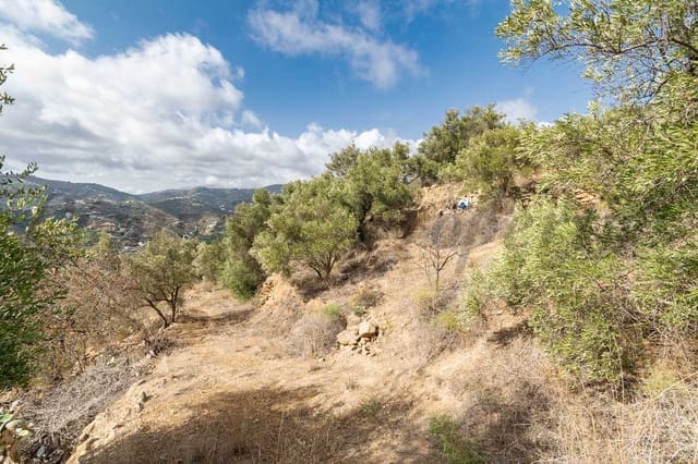 Ubebygd land til salgs i Torrox - € 62 500 (Ref: 8571260)