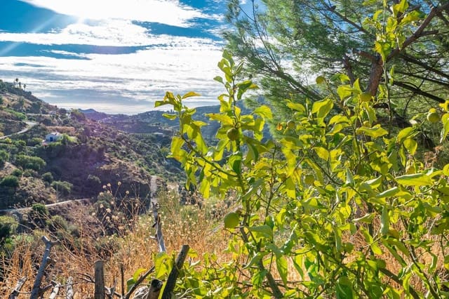 2 slaapkamer Finca/Landhuis te koop in Cómpeta - € 168.000 (Ref: 8623791)