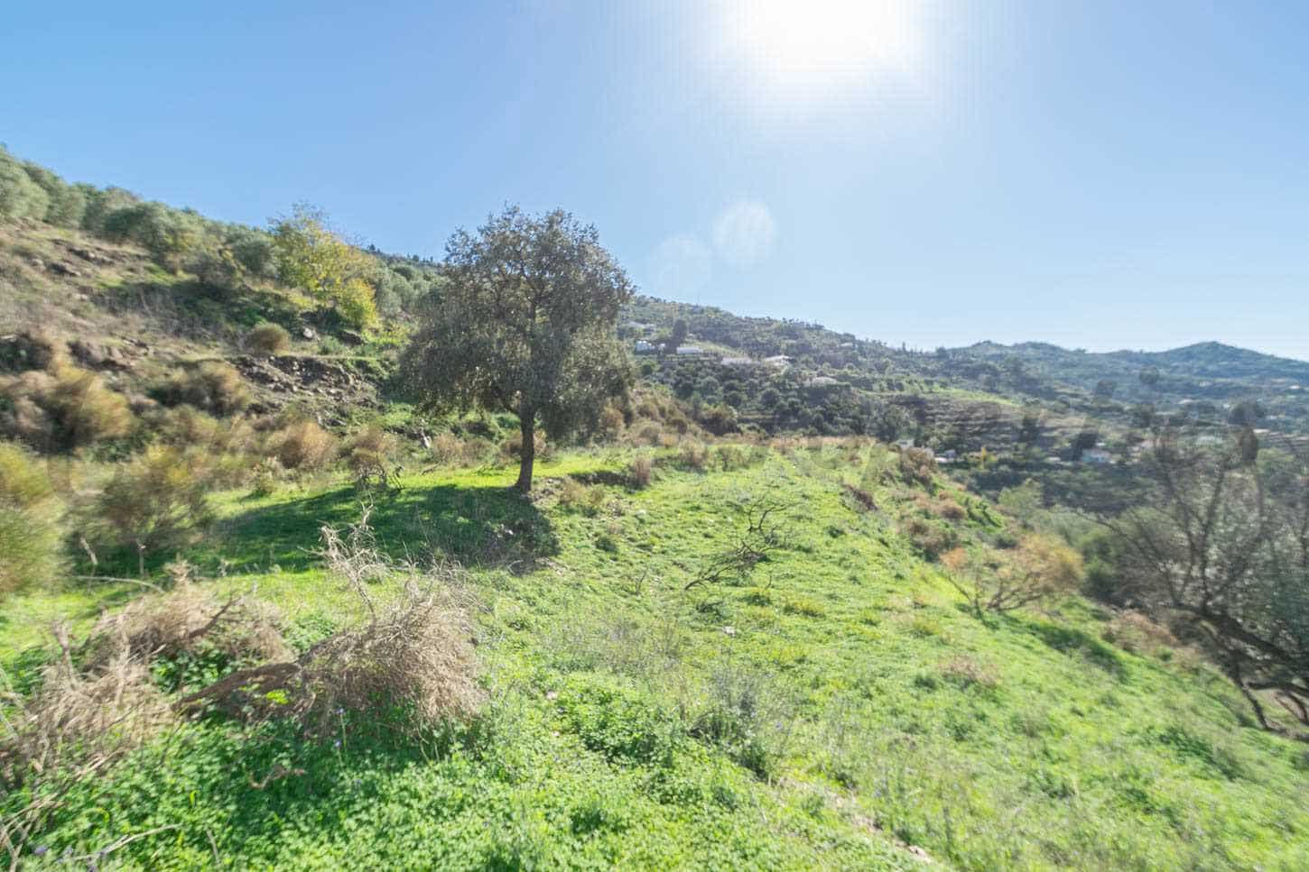 Ubebygd land til salgs i Torrox - € 92 500 (Ref: 8658677)