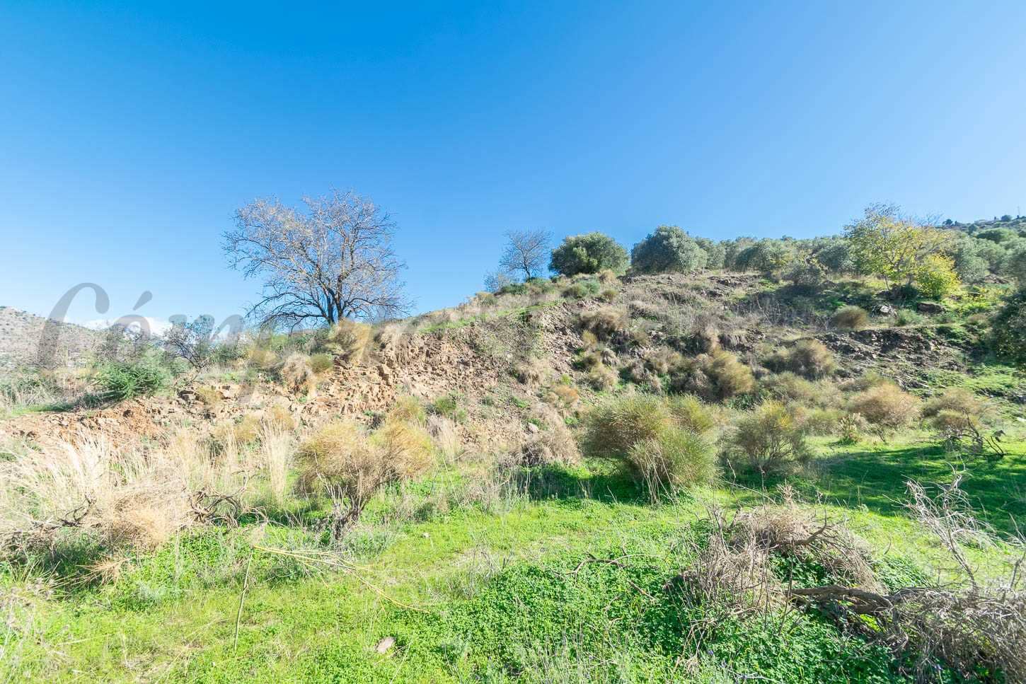 Ubebygd land til salgs i Torrox - € 92 500 (Ref: 8658677)
