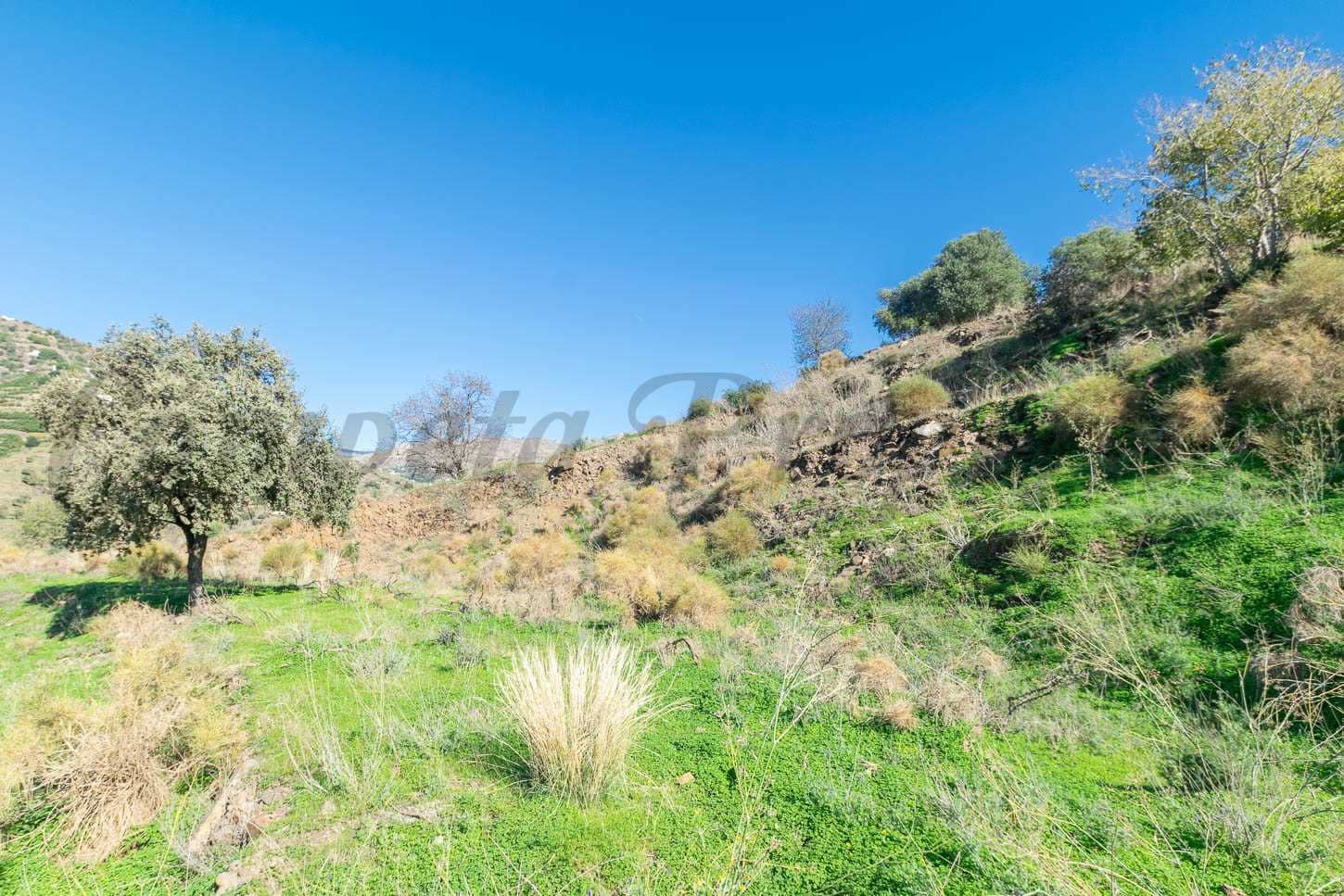 Ubebygd land til salgs i Torrox - € 92 500 (Ref: 8658677)