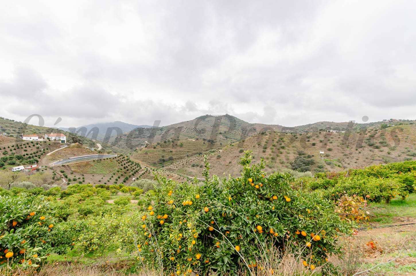 Rakentamaton maa myytävänä paikassa Sayalonga - 160 000 € (Ref: 8691689)