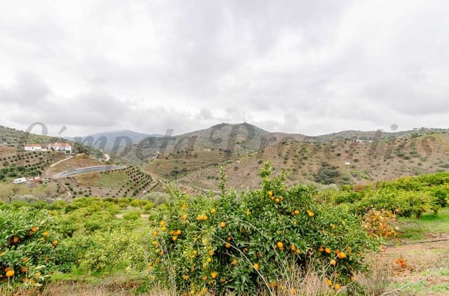 Undeveloped Land for sale in Sayalonga - € 160,000 (Ref: 8691689)