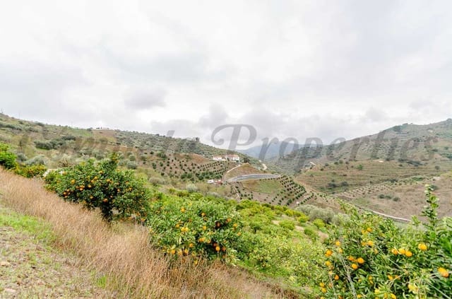 Undeveloped Land for sale in Sayalonga - € 160,000 (Ref: 8691689)