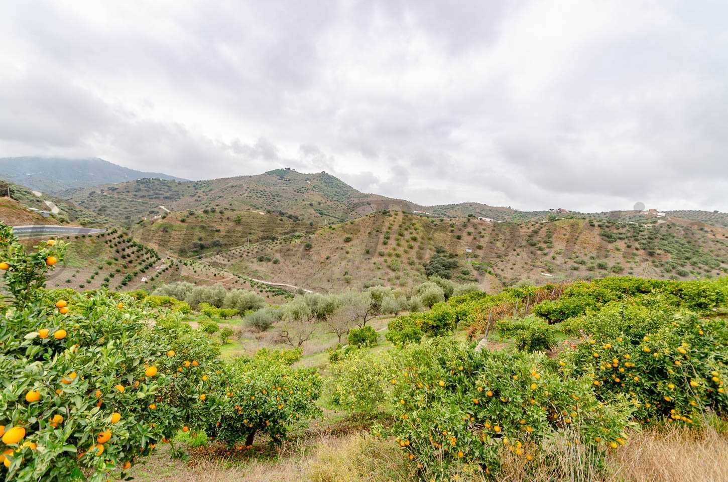 Rakentamaton maa myytävänä paikassa Sayalonga - 160 000 € (Ref: 8691689)