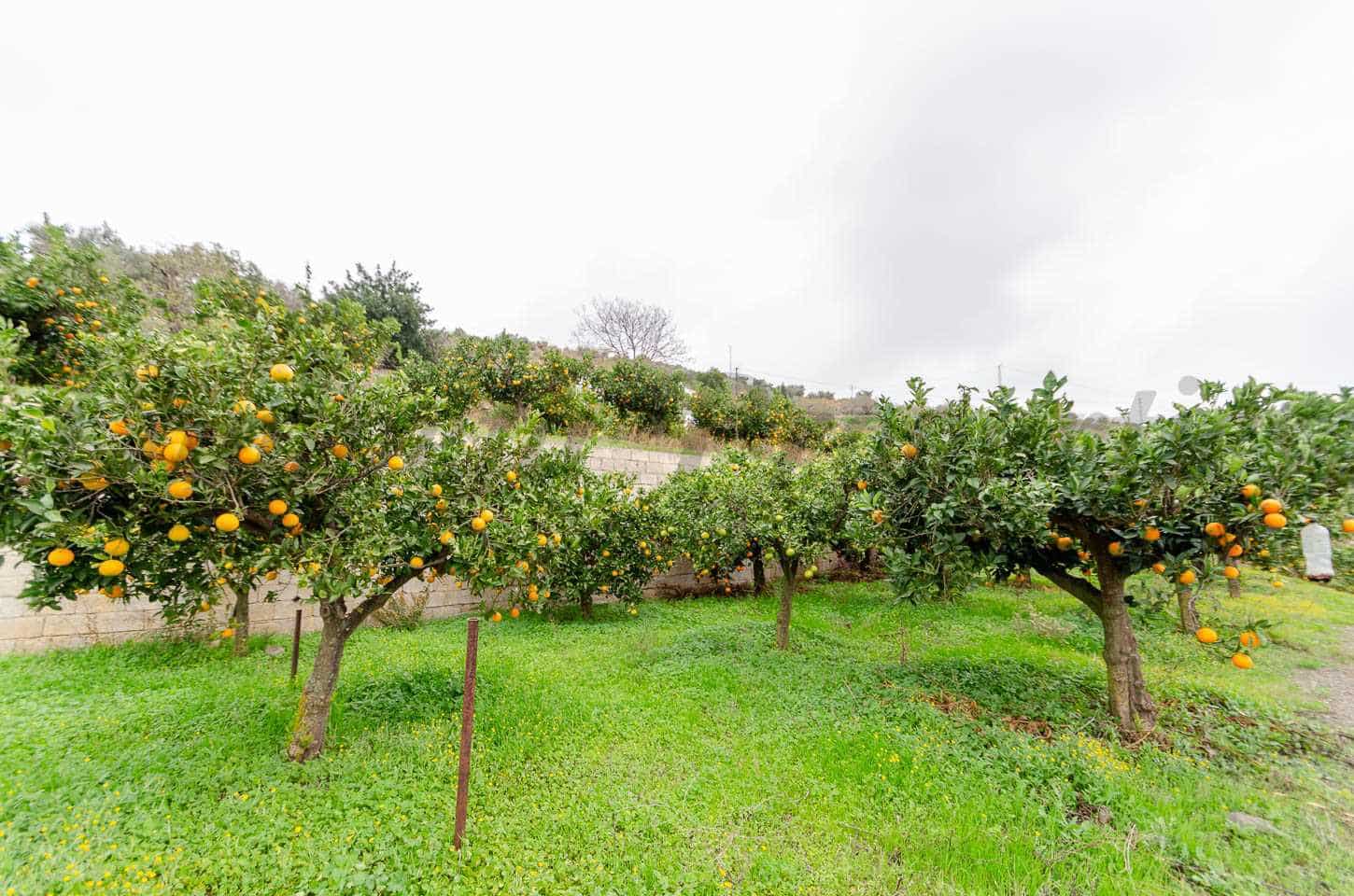 Rakentamaton maa myytävänä paikassa Sayalonga - 160 000 € (Ref: 8691689)