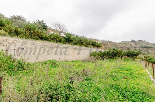 Undeveloped Land for sale in Sayalonga - € 160,000 (Ref: 8691689)