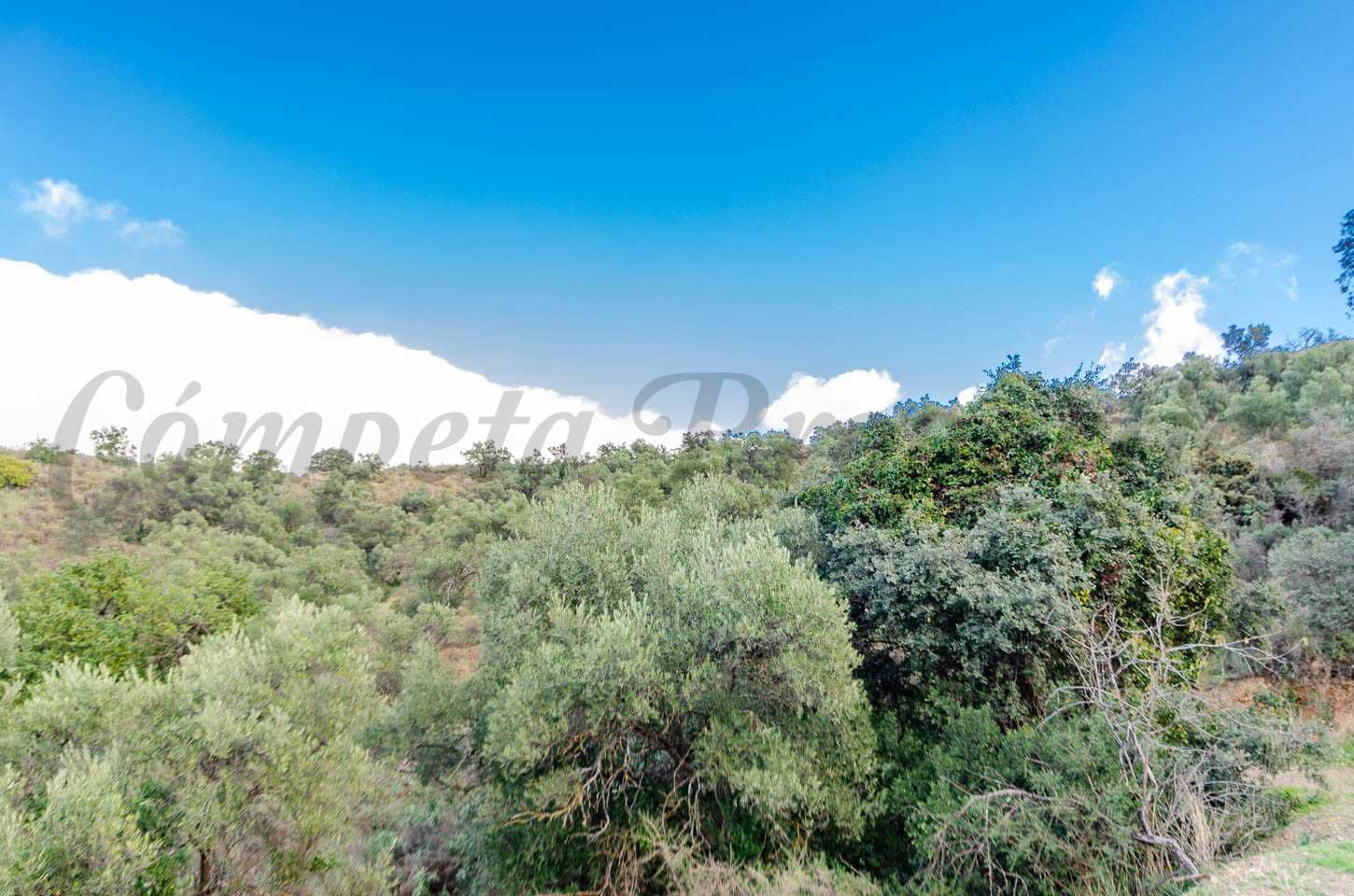 Area Edificabile in vendita in Salares - 158.000 € (Rif: 8728318)