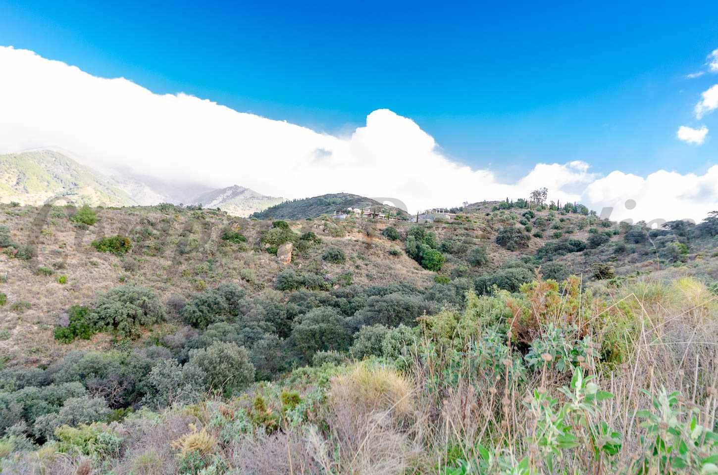 Area Edificabile in vendita in Salares - 158.000 € (Rif: 8728318)