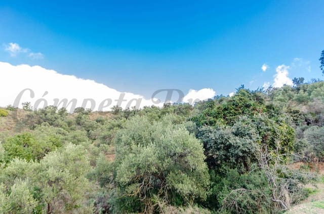 Bouwgrond te koop in Salares - € 158.000 (Ref: 8728318)