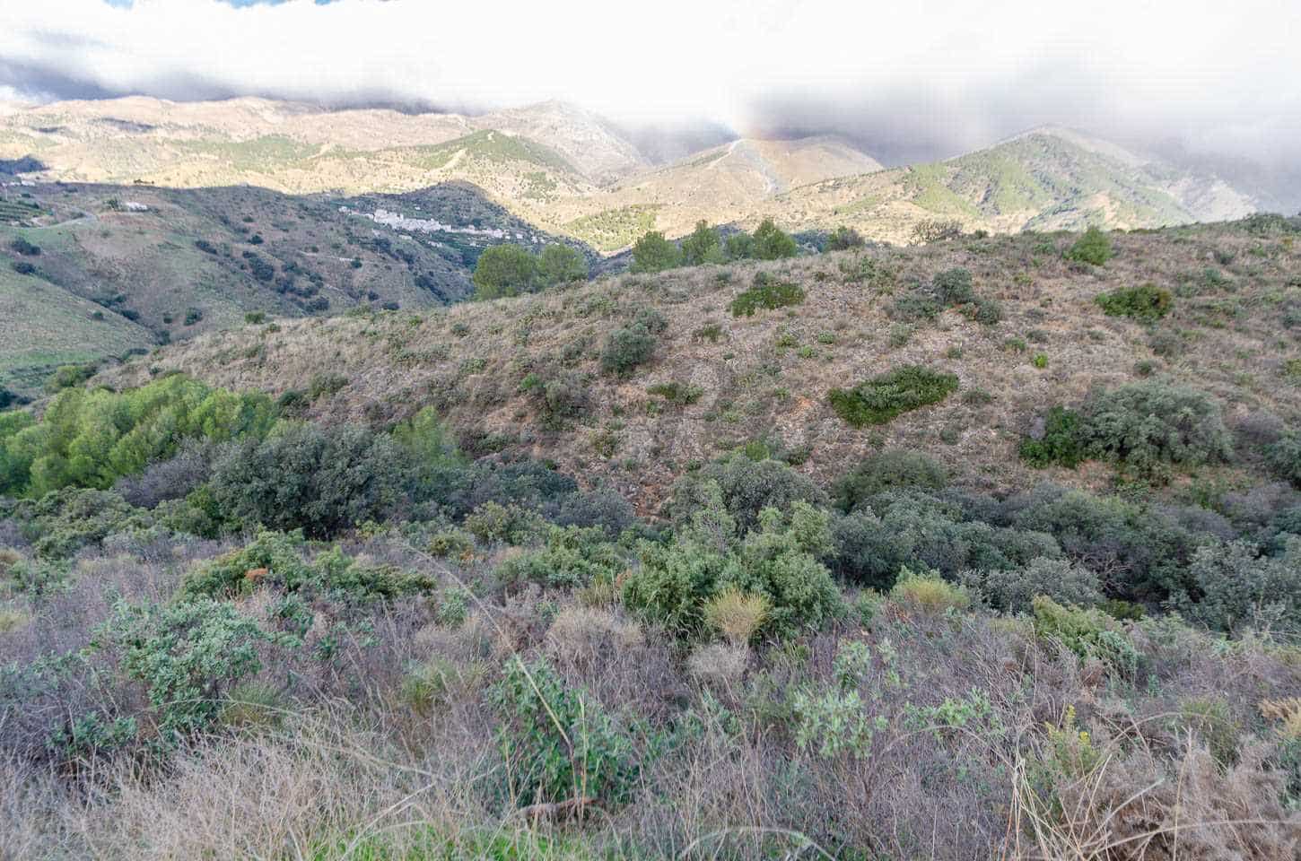 Area Edificabile in vendita in Salares - 158.000 € (Rif: 8728318)