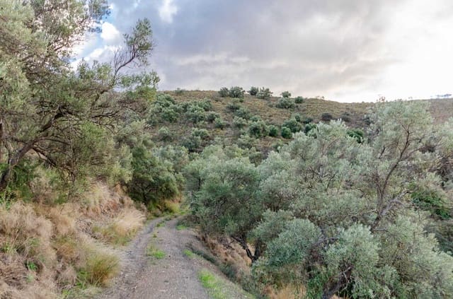 Bouwgrond te koop in Salares - € 158.000 (Ref: 8728318)