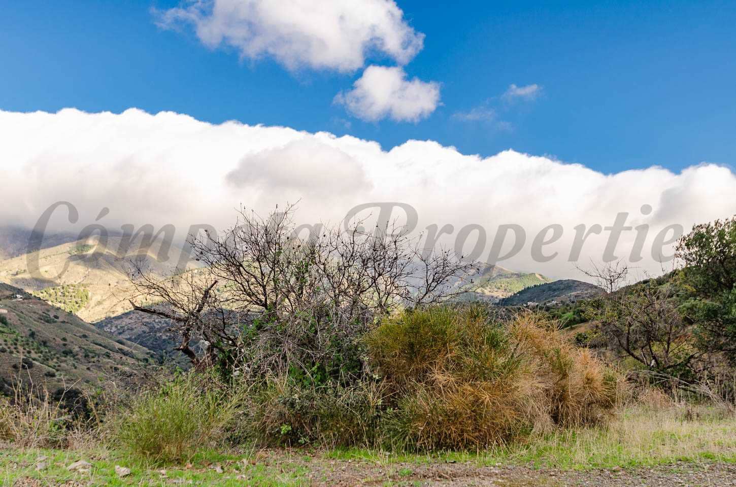 Grunde uden byggetilladelser til salg i Salares - € 30.000 (Ref: 8728713)