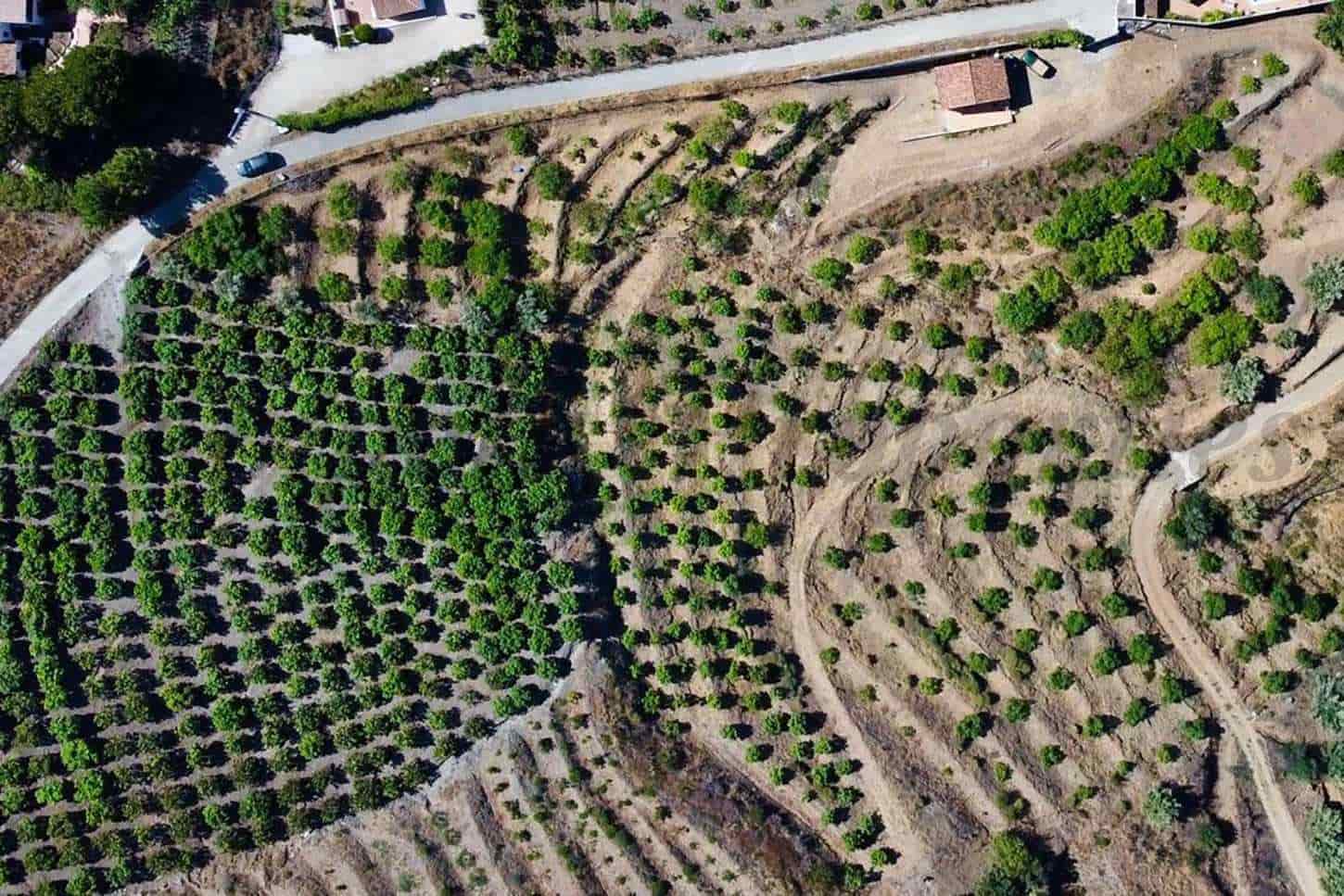 1 soverom Finca/Herregård til salgs i Frigiliana - € 209 900 (Ref: 8780722)