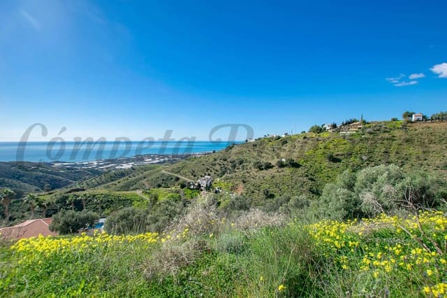 Mark till salu i Sayalonga - 40 500 € (Ref: 8787147)