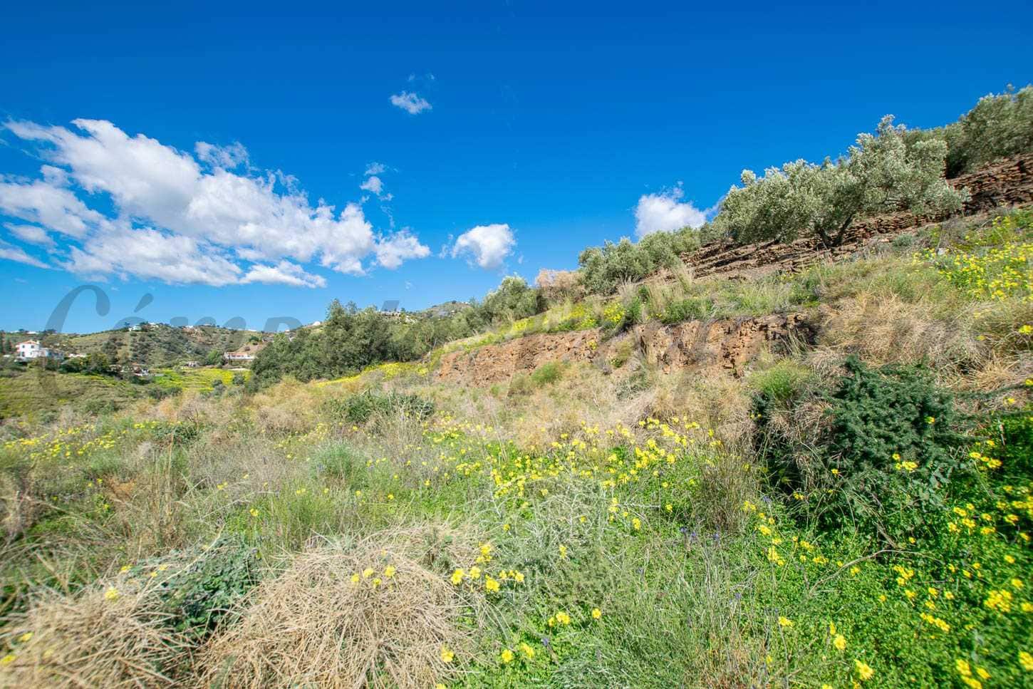 Grunde uden byggetilladelser til salg i Sayalonga - € 40.500 (Ref: 8787147)