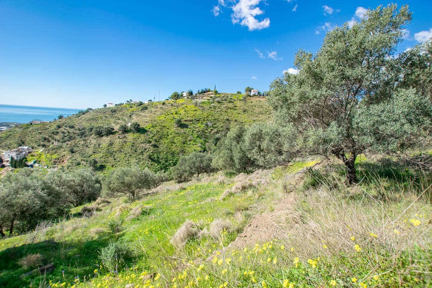 Grunde uden byggetilladelser til salg i Sayalonga - € 40.500 (Ref: 8787147)
