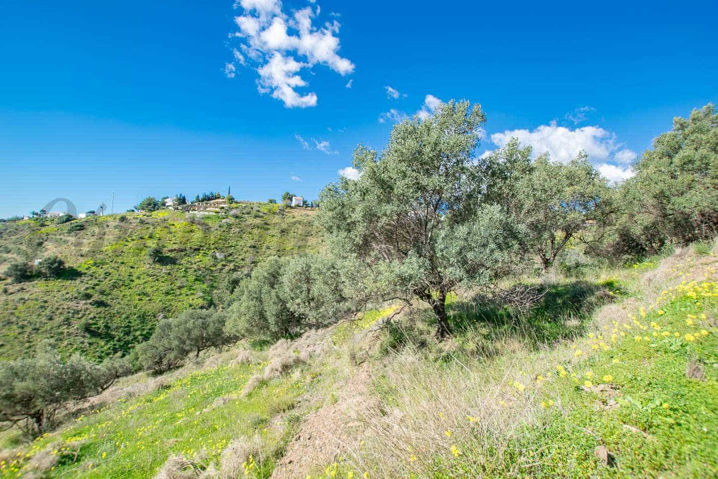 Grunde uden byggetilladelser til salg i Sayalonga - € 40.500 (Ref: 8787147)