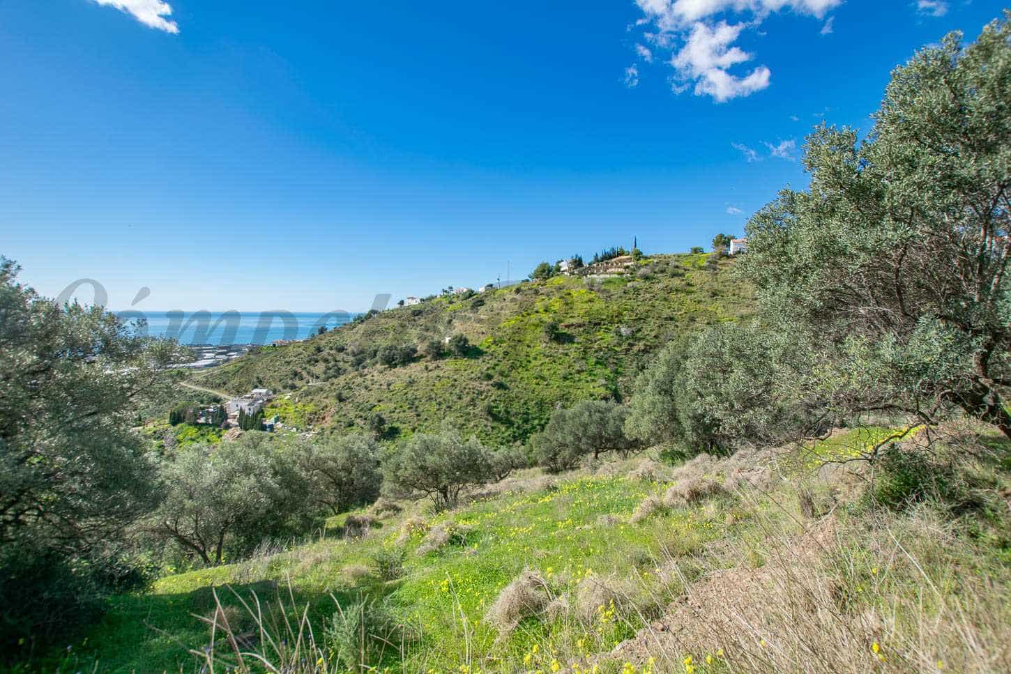 Grunde uden byggetilladelser til salg i Sayalonga - € 40.500 (Ref: 8787147)