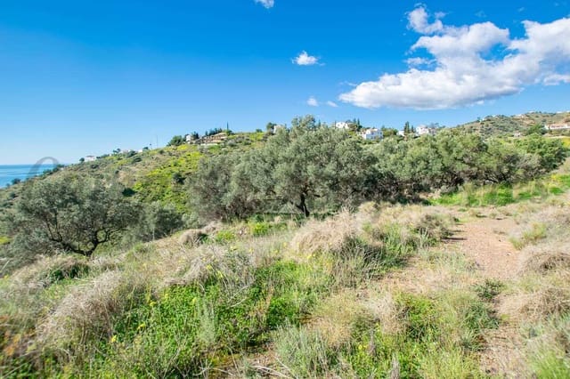 Mark till salu i Sayalonga - 40 500 € (Ref: 8787147)