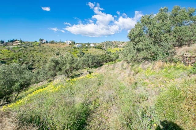 Mark till salu i Sayalonga - 40 500 € (Ref: 8787147)