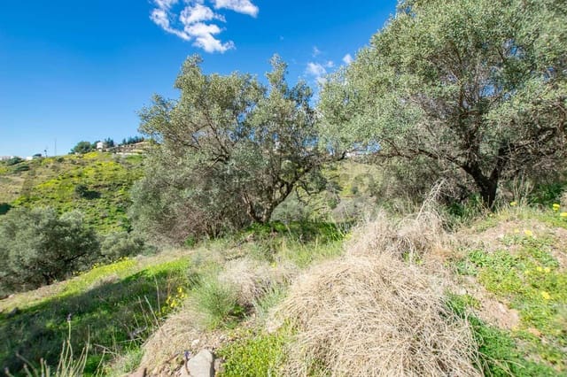 Mark till salu i Sayalonga - 40 500 € (Ref: 8787147)