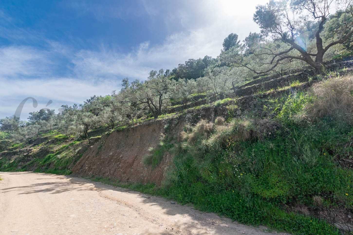 3 sovrum Finca/Hus på landet till salu i Sayalonga med pool garage - 365 000 € (Ref: 8935973)