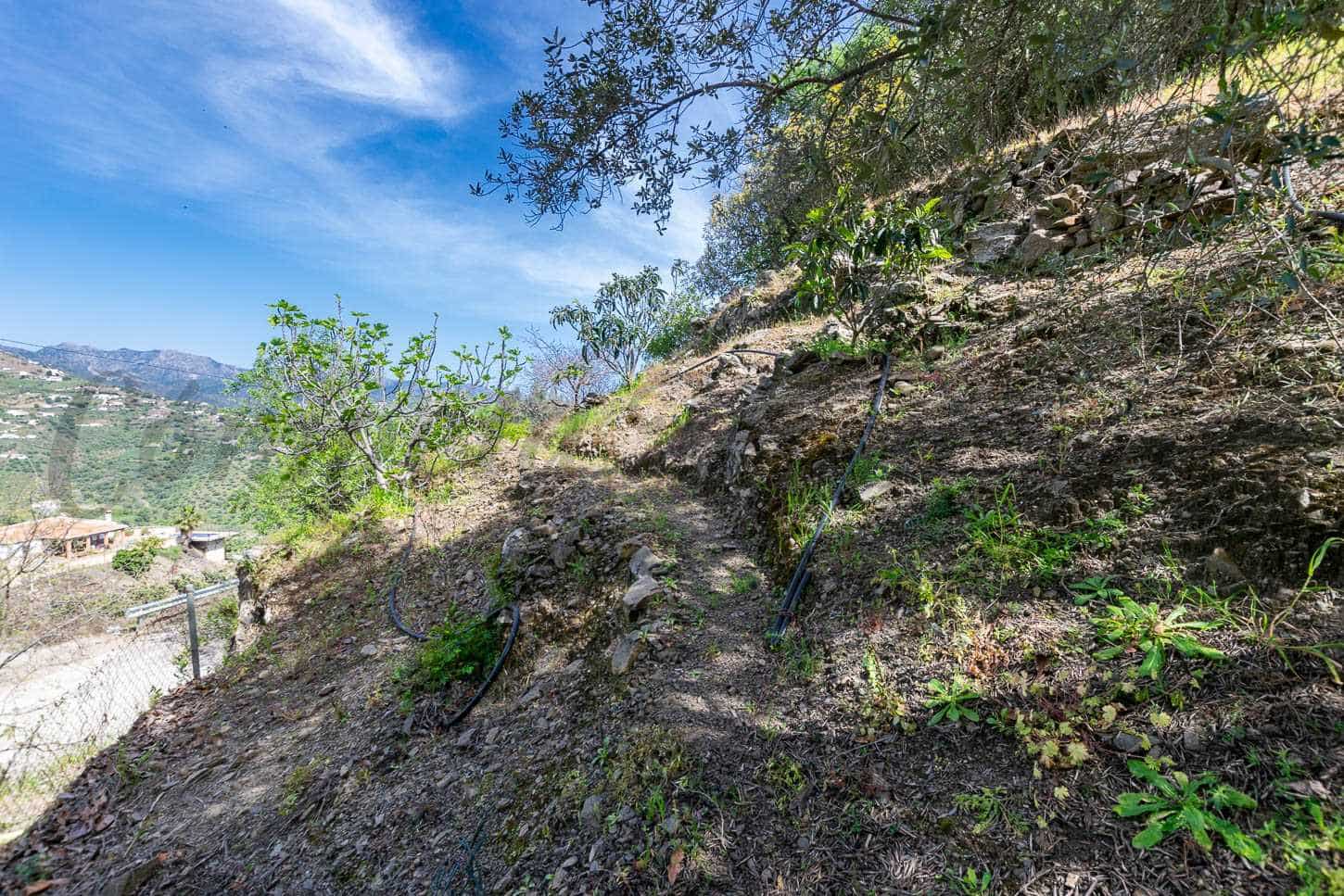 3 sovrum Finca/Hus på landet till salu i Sayalonga med pool garage - 365 000 € (Ref: 8935973)