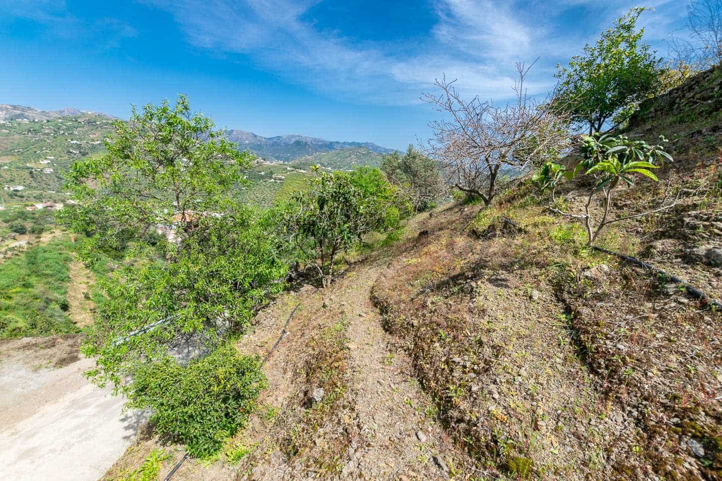 3 sovrum Finca/Hus på landet till salu i Sayalonga med pool garage - 365 000 € (Ref: 8935973)