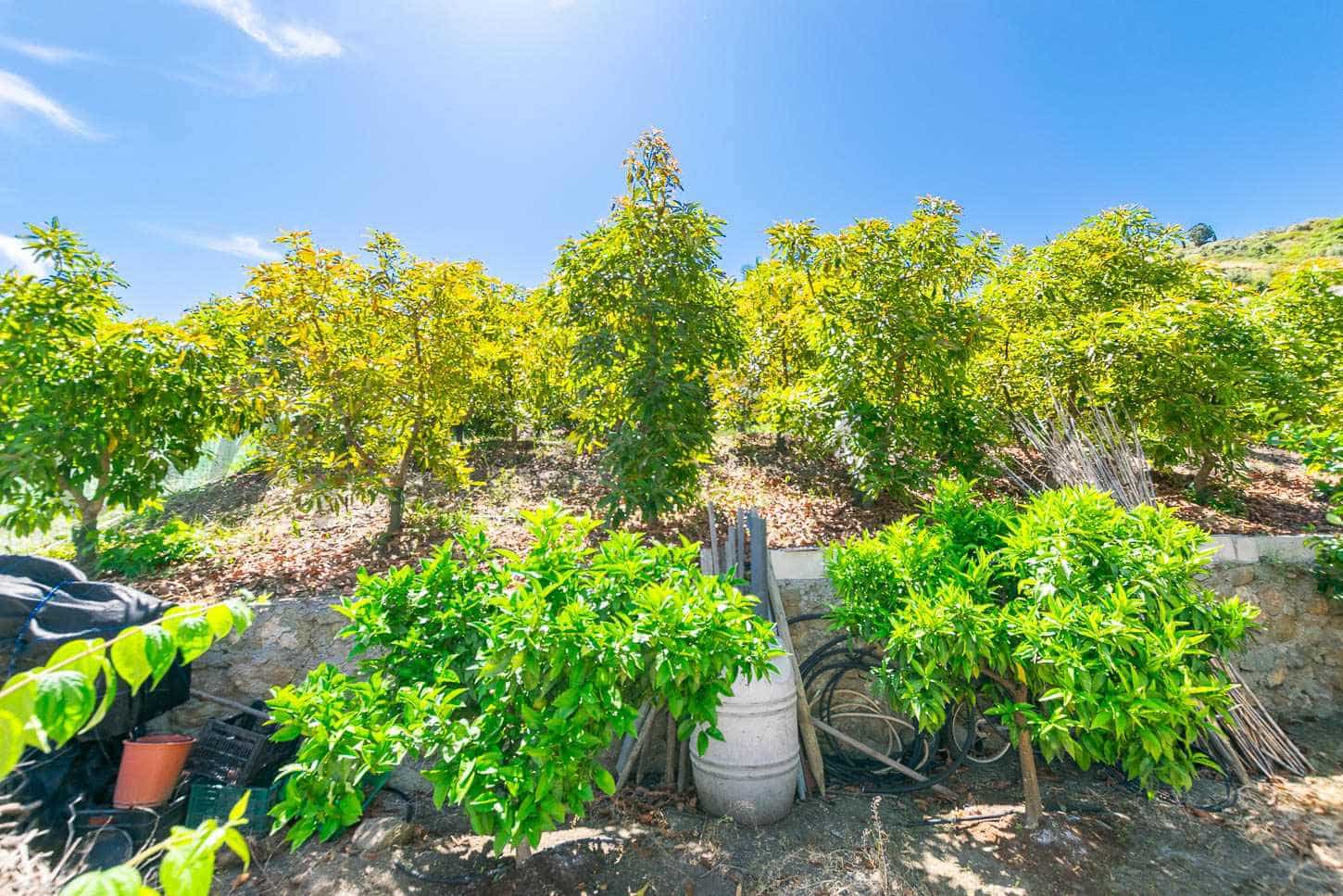 Finca/Landhuis te koop in Competa met zwembad - € 130.000 (Ref: 9033267)