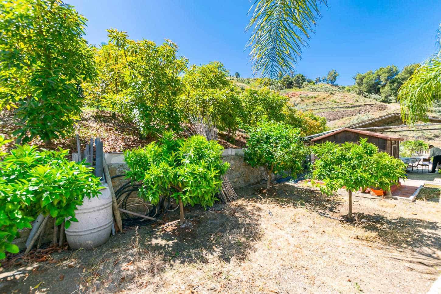 Finca/Landhuis te koop in Competa met zwembad - € 130.000 (Ref: 9033267)