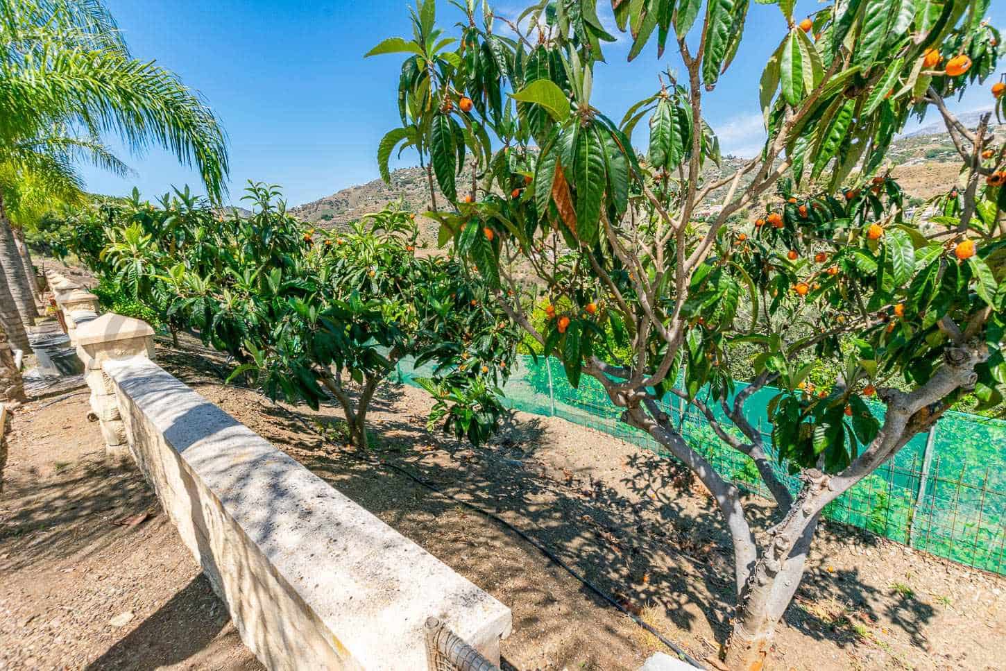 Finca/Landhuis te koop in Competa met zwembad - € 130.000 (Ref: 9033267)