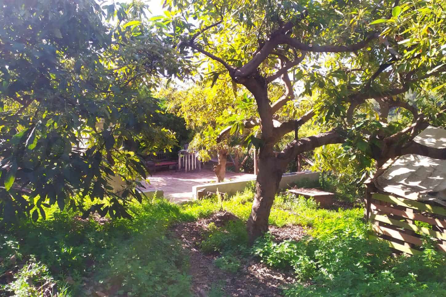 Grunde uden byggetilladelser til salg i Frigiliana - € 90.000 (Ref: 9049603)