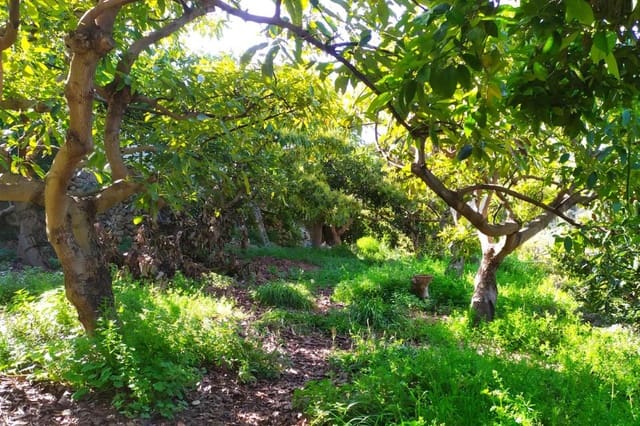 Rakentamaton maa myytävänä paikassa Frigiliana - 90 000 € (Ref: 9049603)