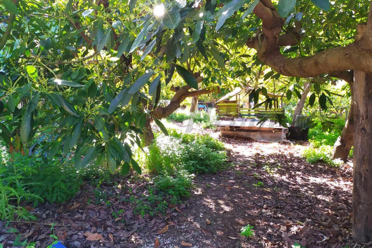 Grunde uden byggetilladelser til salg i Frigiliana - € 90.000 (Ref: 9049603)