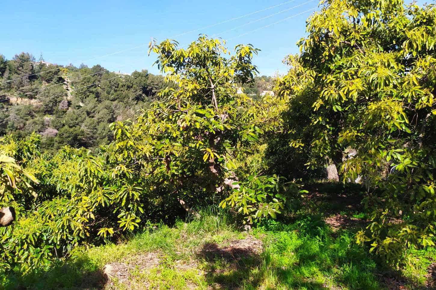 Grunde uden byggetilladelser til salg i Frigiliana - € 90.000 (Ref: 9049603)