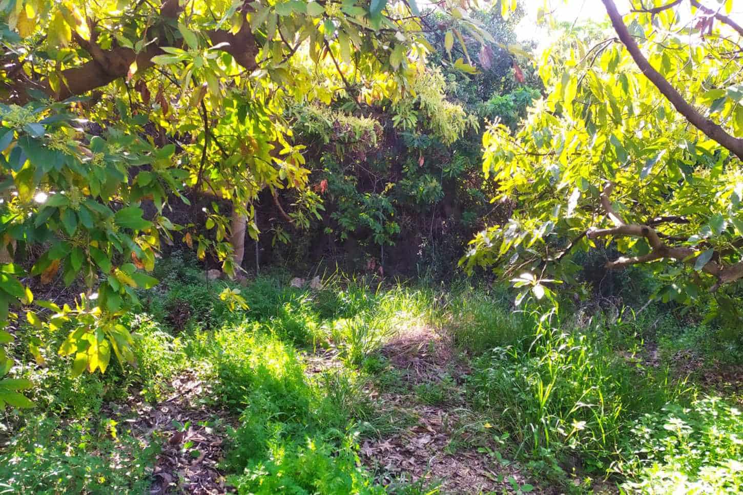 Grunde uden byggetilladelser til salg i Frigiliana - € 90.000 (Ref: 9049603)