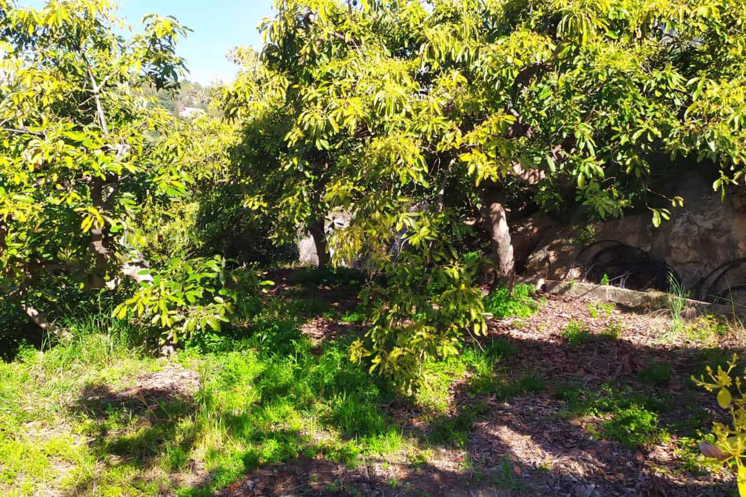 Grunde uden byggetilladelser til salg i Frigiliana - € 90.000 (Ref: 9049603)