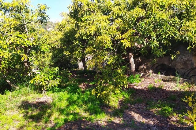 Rakentamaton maa myytävänä paikassa Frigiliana - 90 000 € (Ref: 9049603)