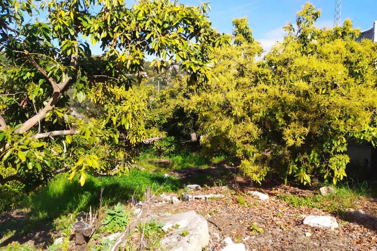 Grunde uden byggetilladelser til salg i Frigiliana - € 90.000 (Ref: 9049603)