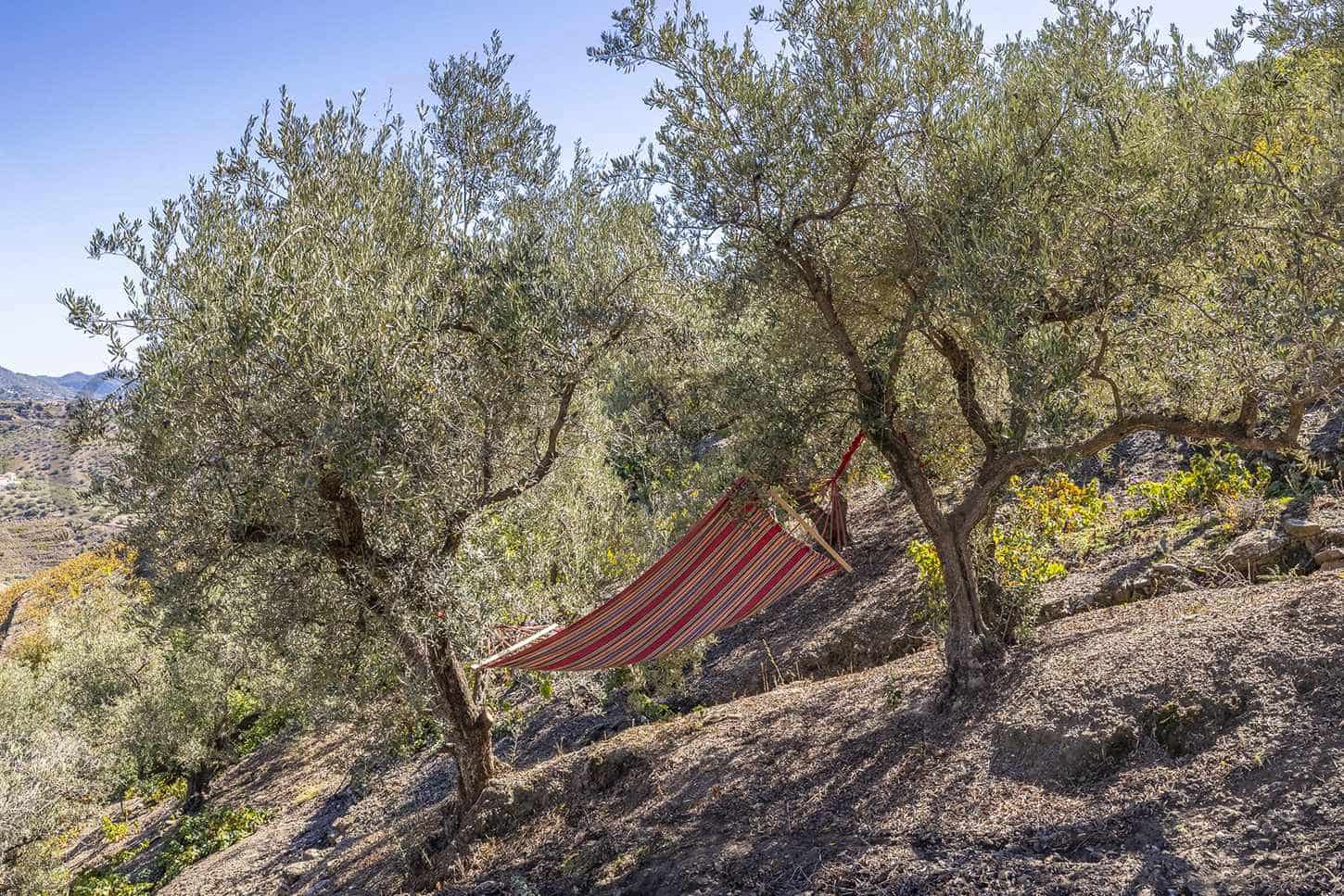 4 Zimmer Villa zu verkaufen in Competa mit Pool - 995.000 € (Ref: 9095565)