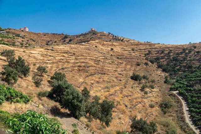 Grond te koop in Torrox-Costa, Torrox - € 27.500 (Ref: 9158249)